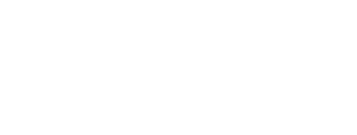 Swift Talent Solutions logo white on transparent background